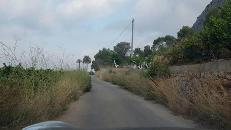 El PP denuncia que la maleza invade la carretera de la Casella y dispara el riesgo de accidente e incendio