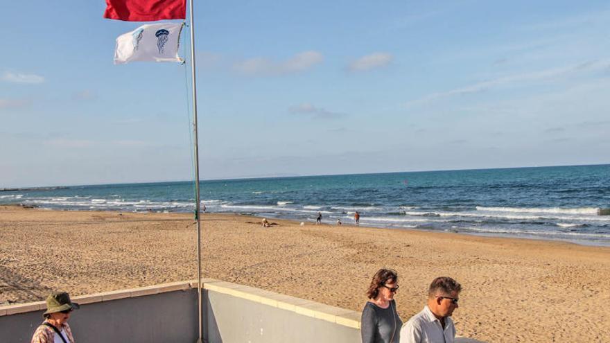 Imagen de la bandera roja y la de alerta por presencia de medusas ondeando en la playa de La Mata/Foto Tony Sevilla