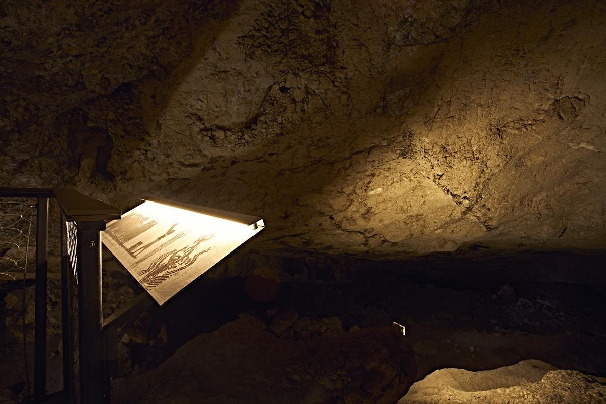 La Cova de l'Or se abre a las visitas