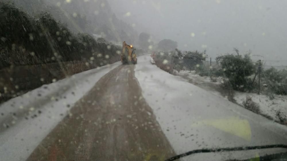 Am Samstag (10.2.) schneite es weiter in der Tramuntana.