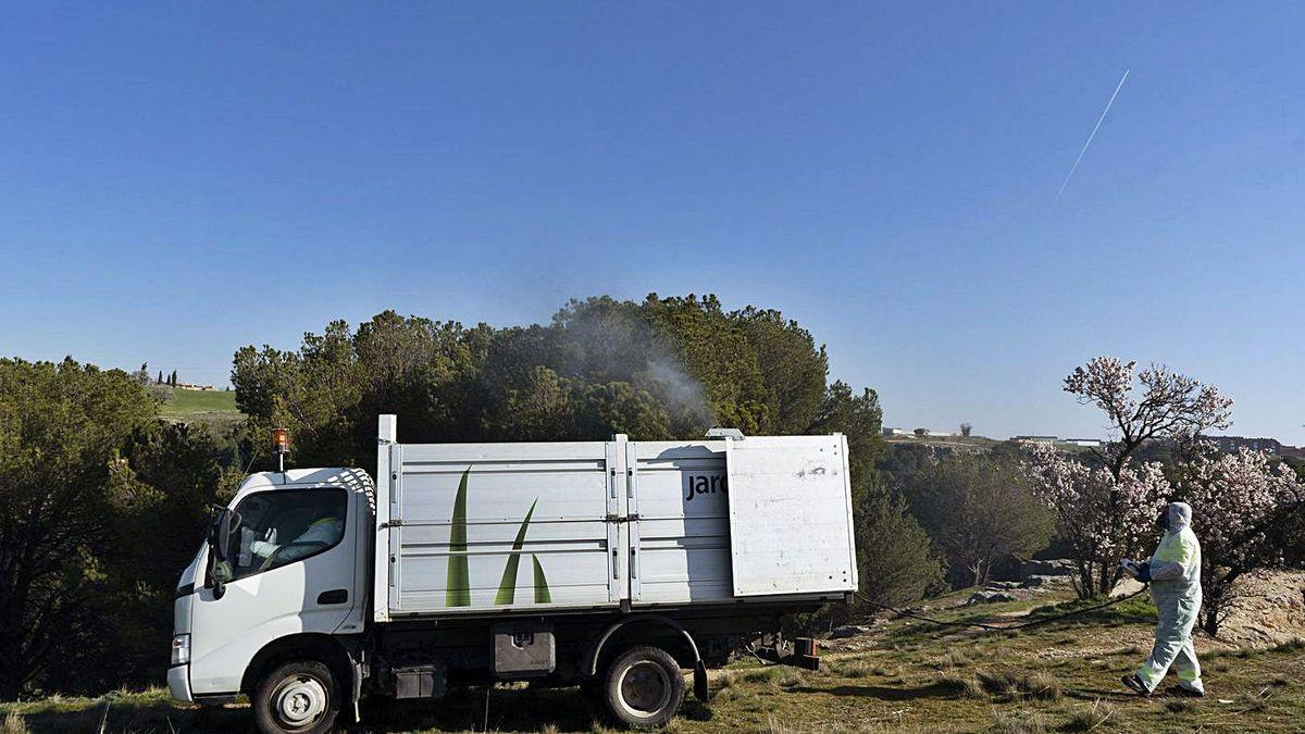 Un trabajador de Parques y Jardines, en el bosque de Valorio. JOSE LUIS FERNÁNDEZ