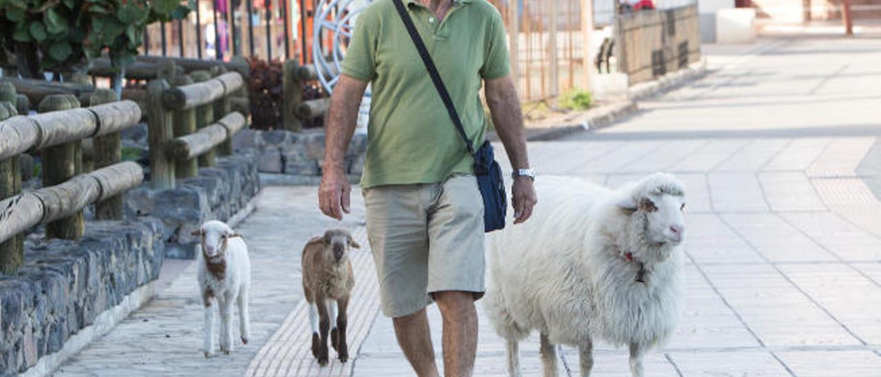 Un paseo habitual lleno de mimos y cariños por La Garita.