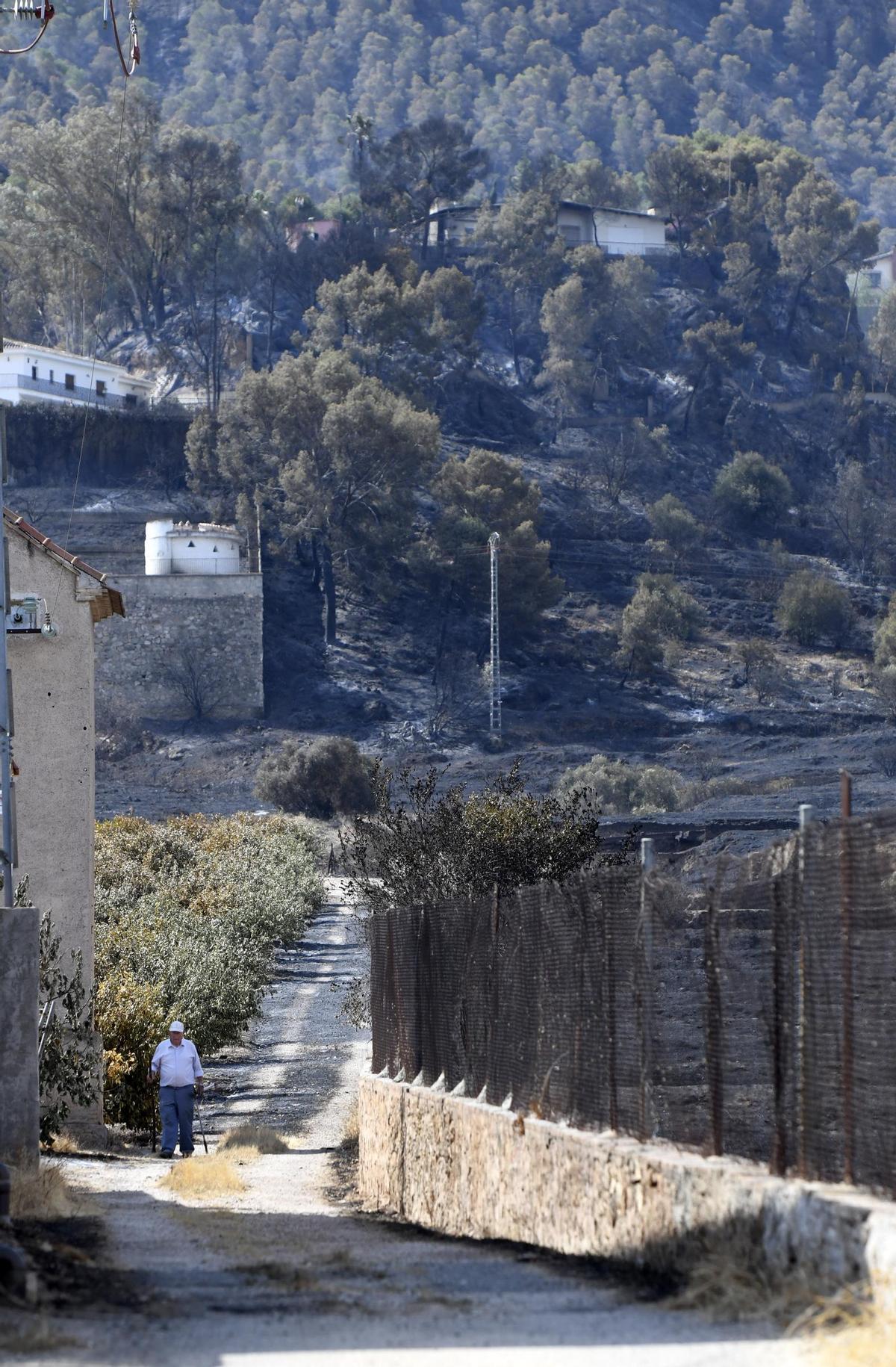 Un vecino de Los Garres camina por la zona desvastada por el incendio.