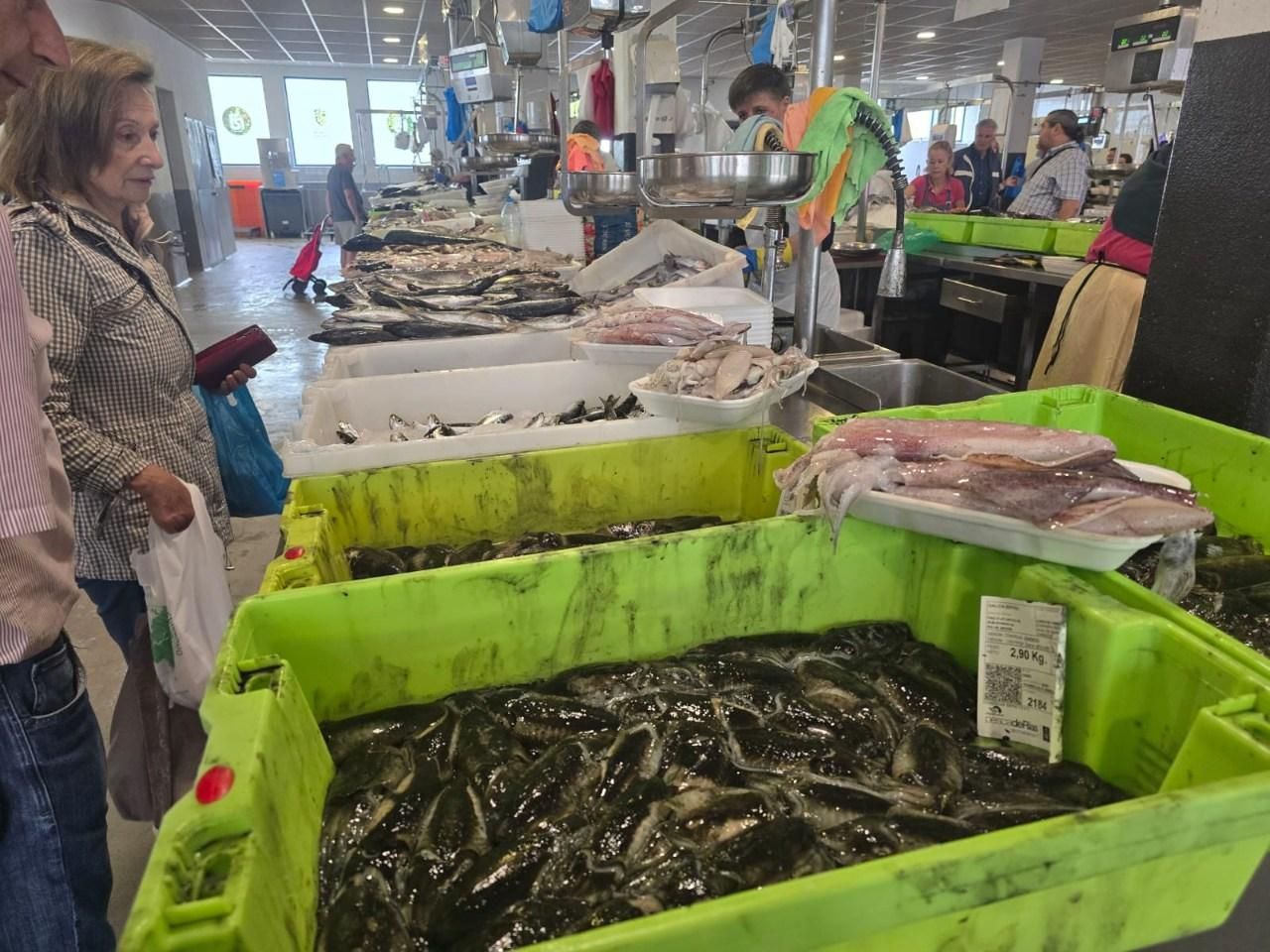 5d1e1baa-7ae3-4f72-bf75-bf7821033fa2.jpg