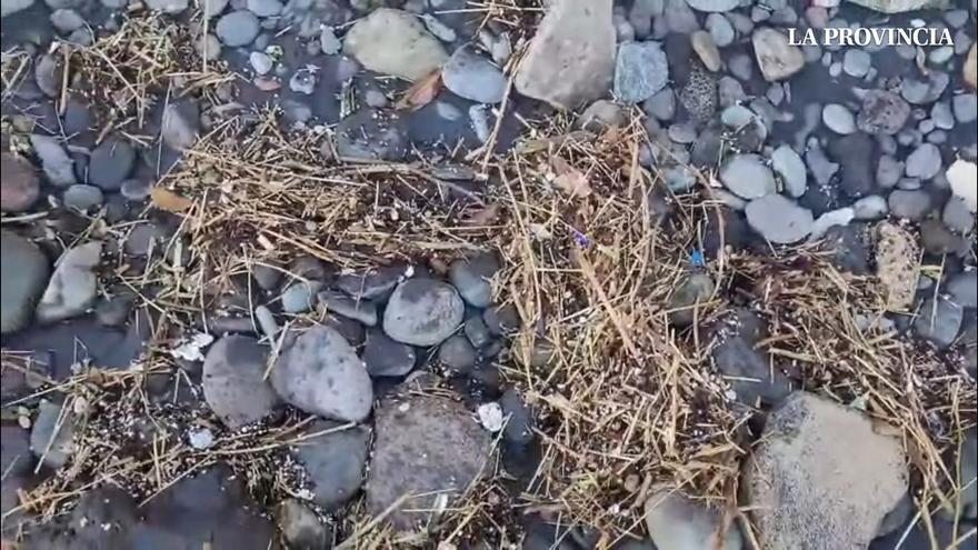 La Cícer reabre al baño tras la limpieza de la orilla por la borrasca Claudia