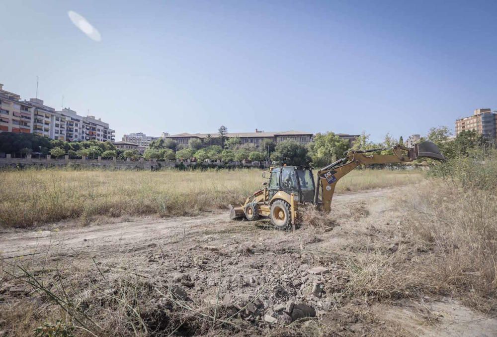 El futuro bosque urbano de Palma, en marcha