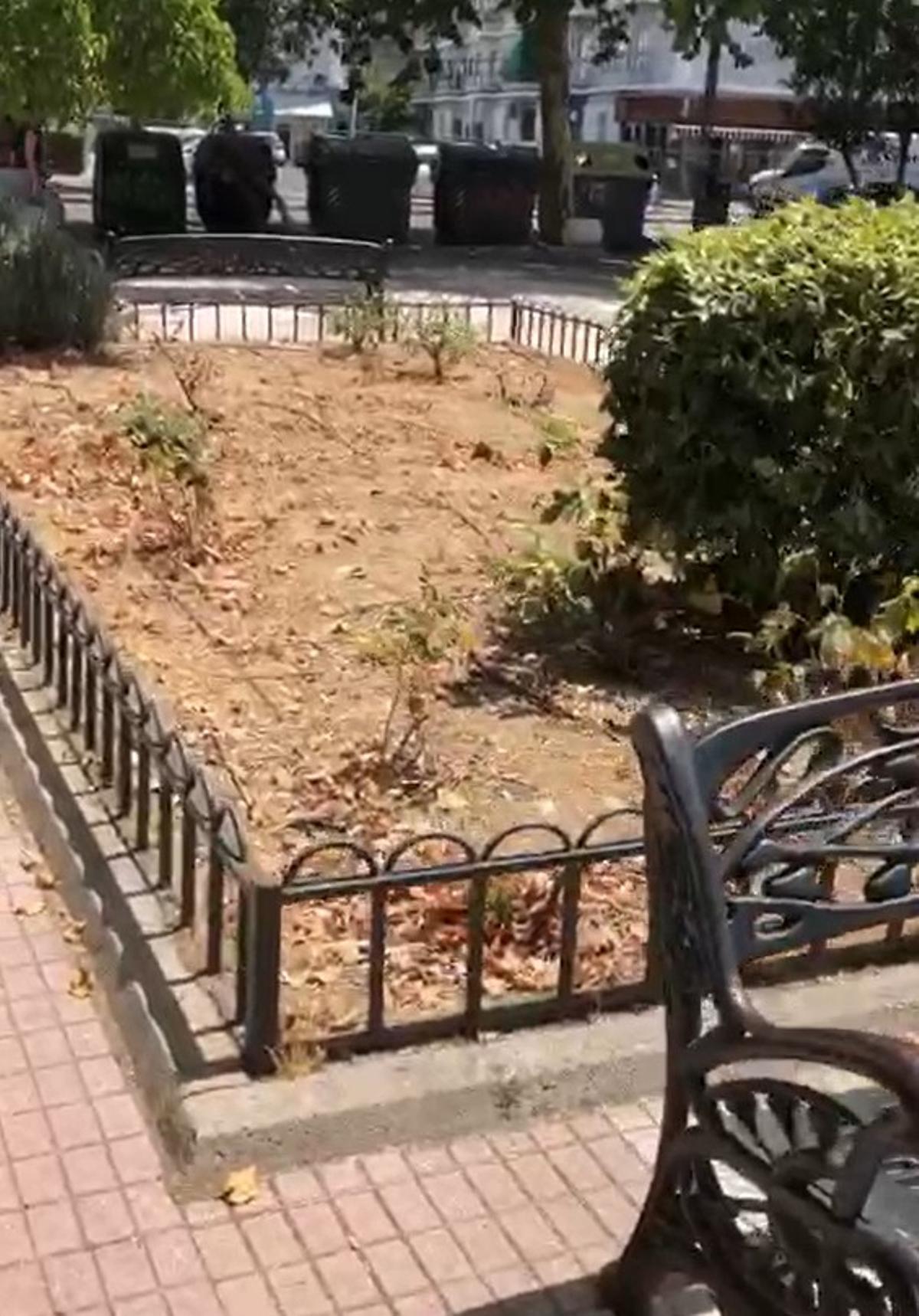 Imagen del estado del jardín en Antonio Hurtado.