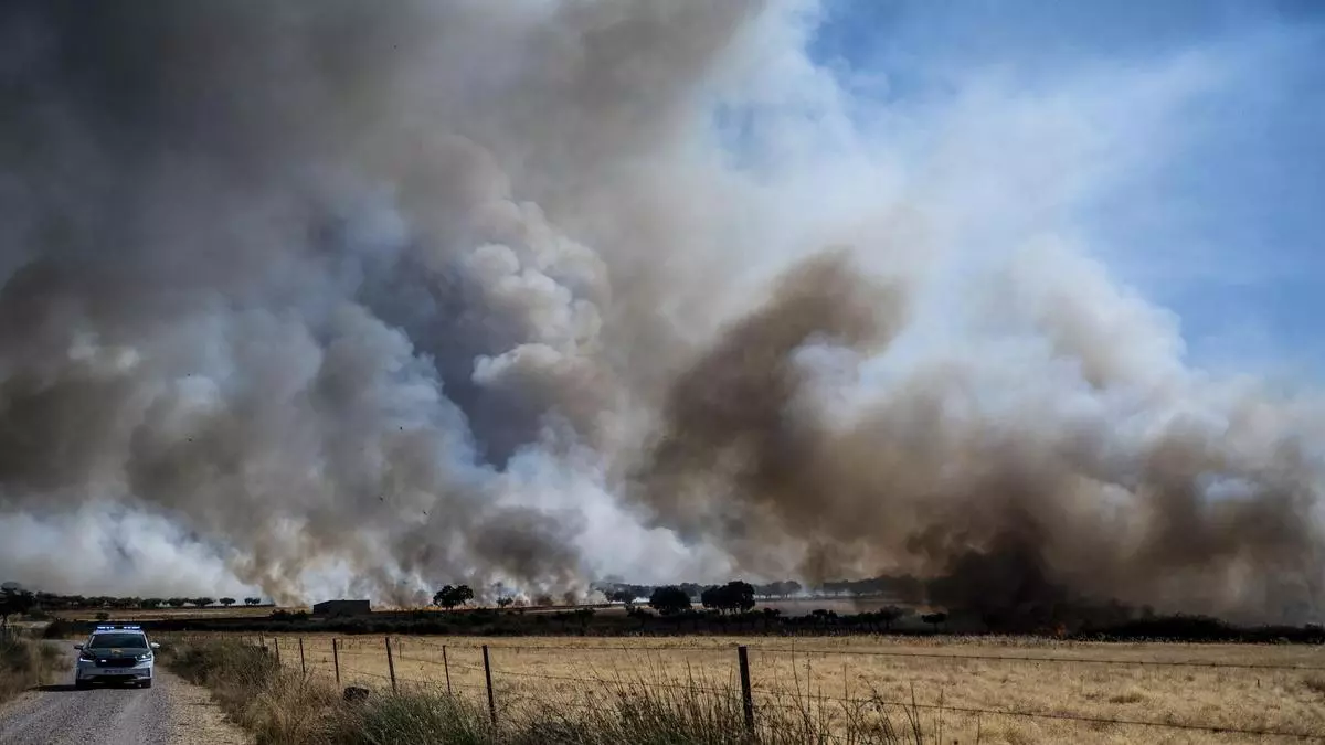 Estabilizado el incendio forestal en Arroyomolinos, en el que se han quemado más de 800 hectáreas