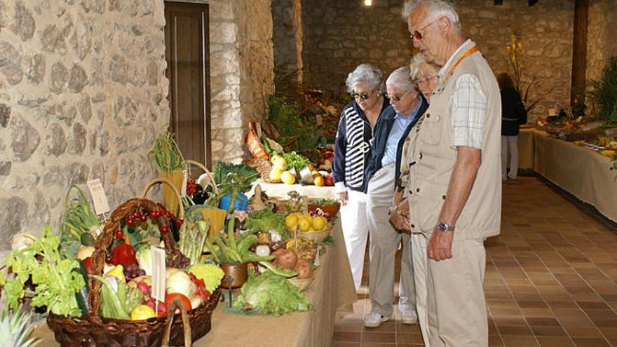 Castell d'Aro Exposició de flors i fruits - Diari de Girona