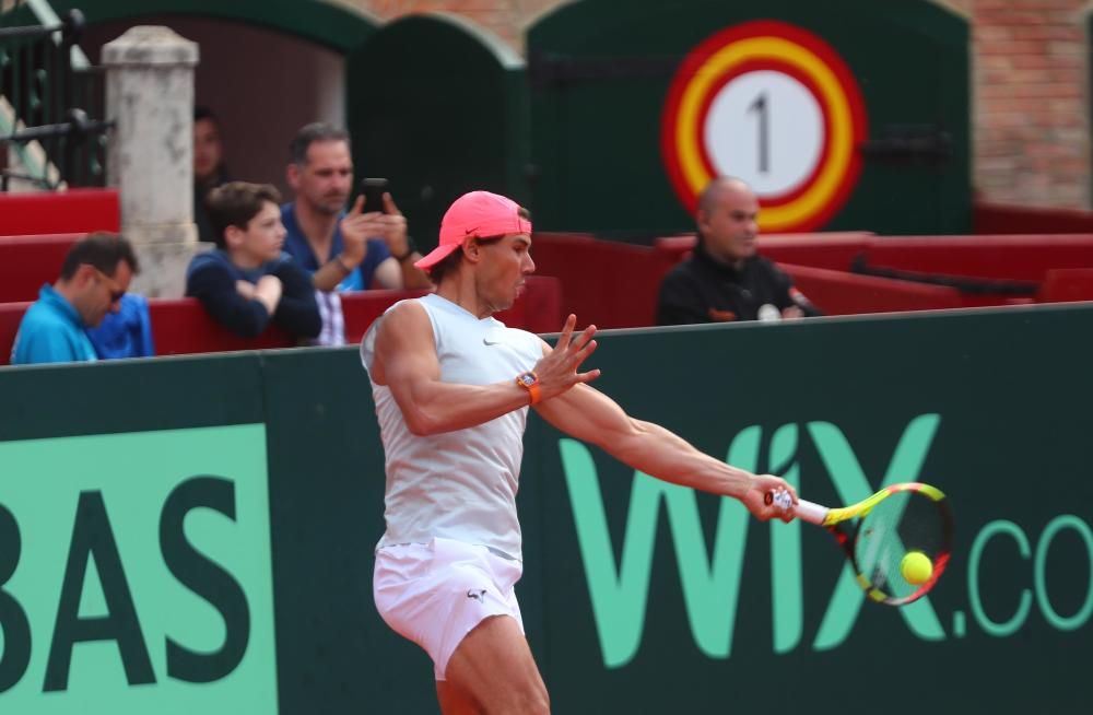 Rafa Nadal y David Ferrer entrenan en Valencia