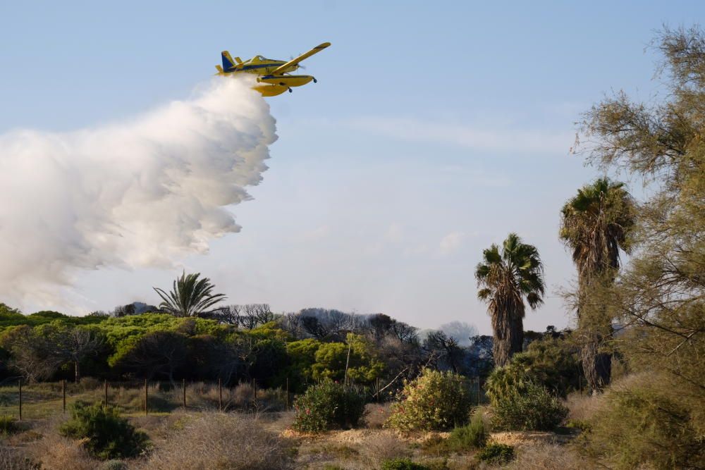 Extinción de un incendio en la pinada de Guardamar