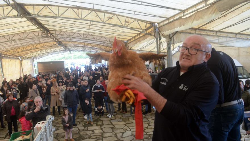 Las “poxas” regresan a San Antón