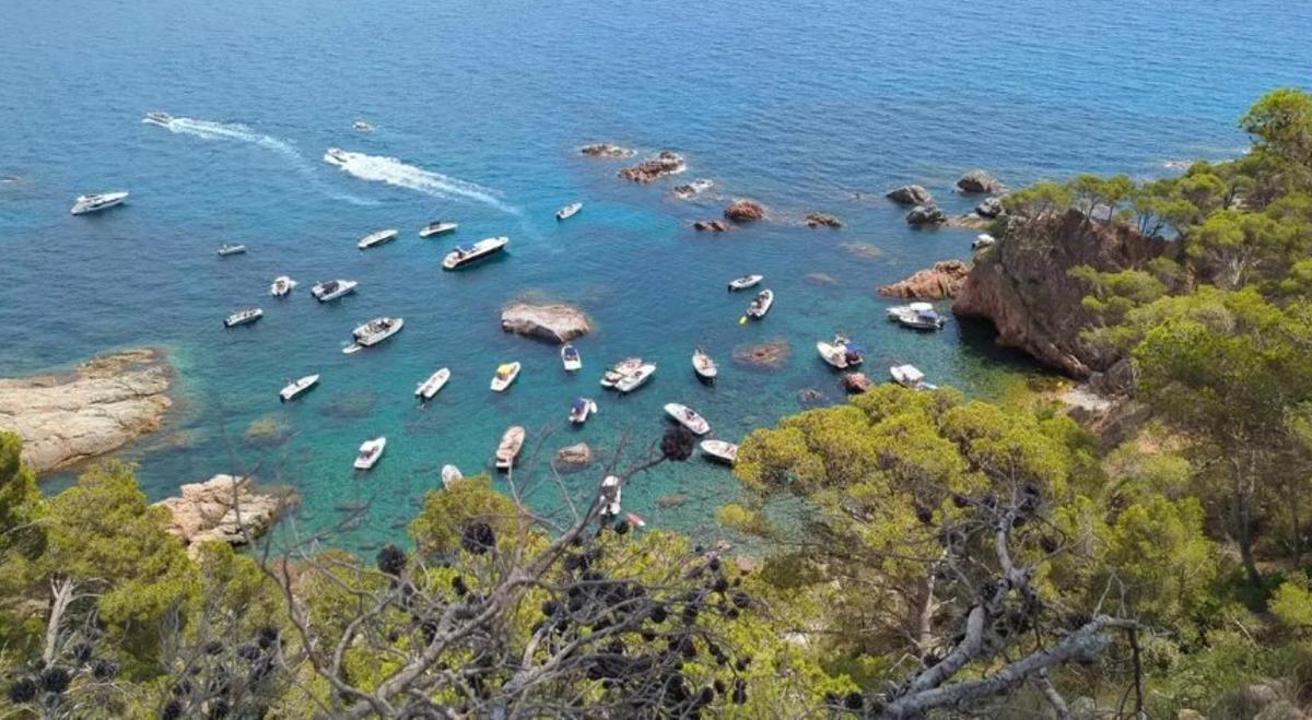 La cala del Vedell després de robar les boies, l'estiu passat.