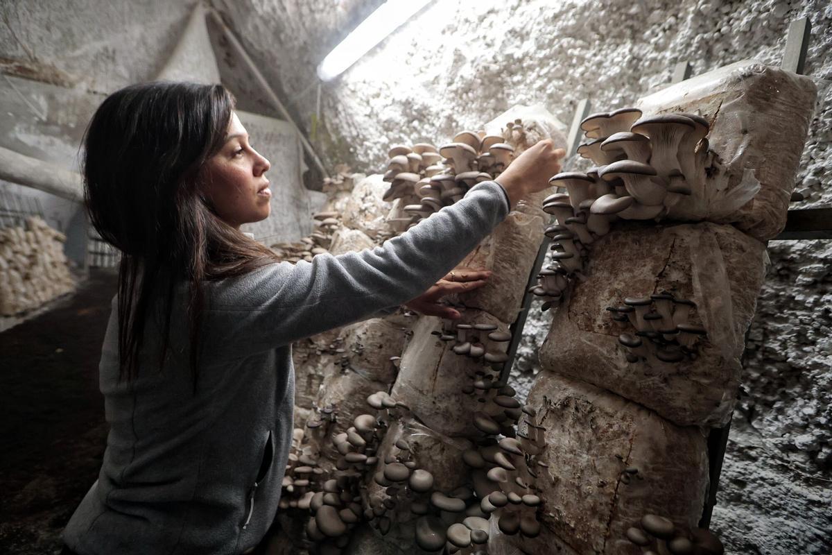 Florencia Fernández, de Setas La Bruja, galardonada con el Premio Agrojoven del Cabildo de Tenerife a la mejor iniciativa empresarial en el ámbito agrícola de la isla