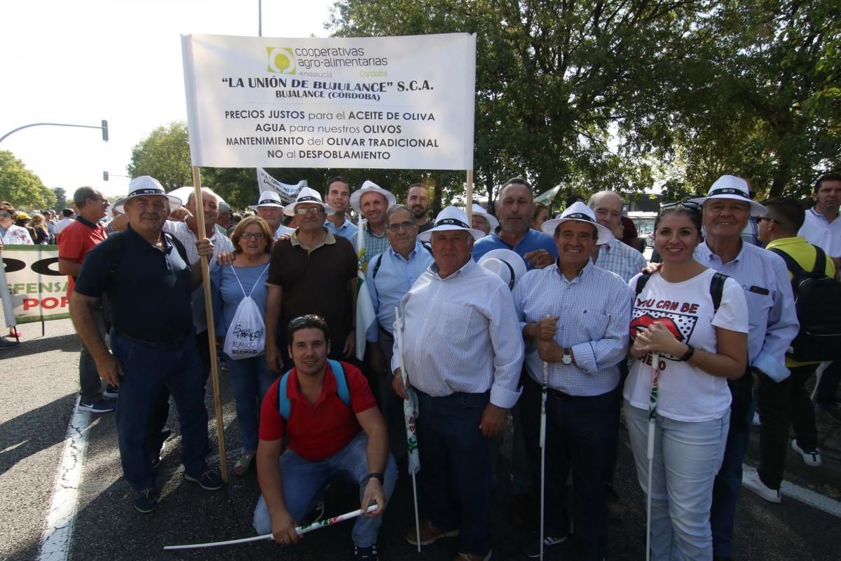 Córdoba se suma a la gran manifestación del olivar en Madrid