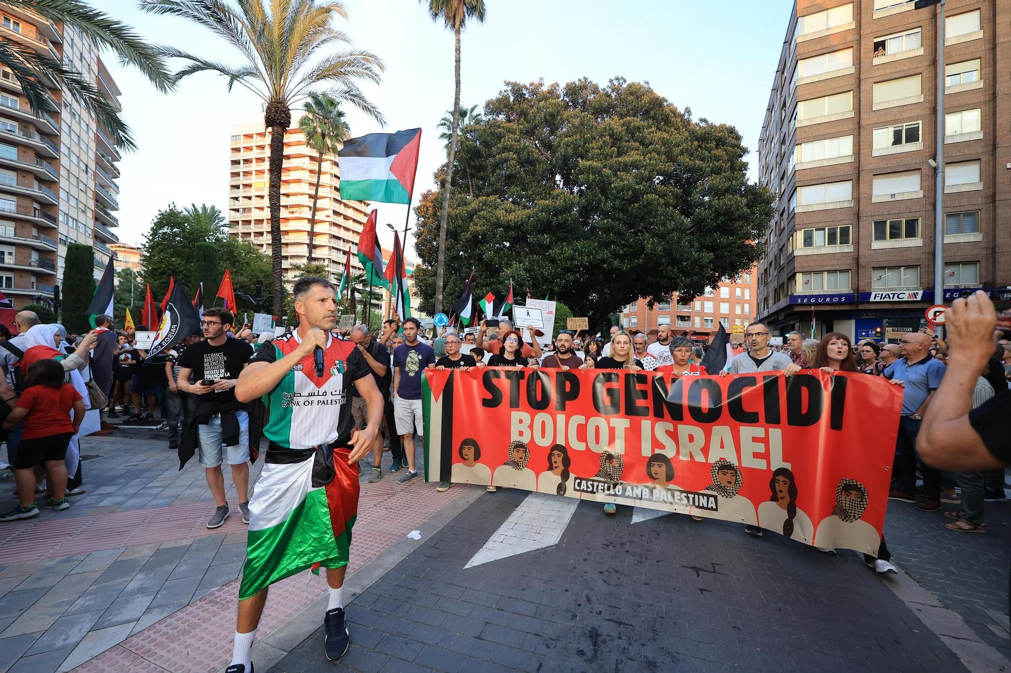 Galería de imágenes: Castellón sale a la calle en defensa de Palestina