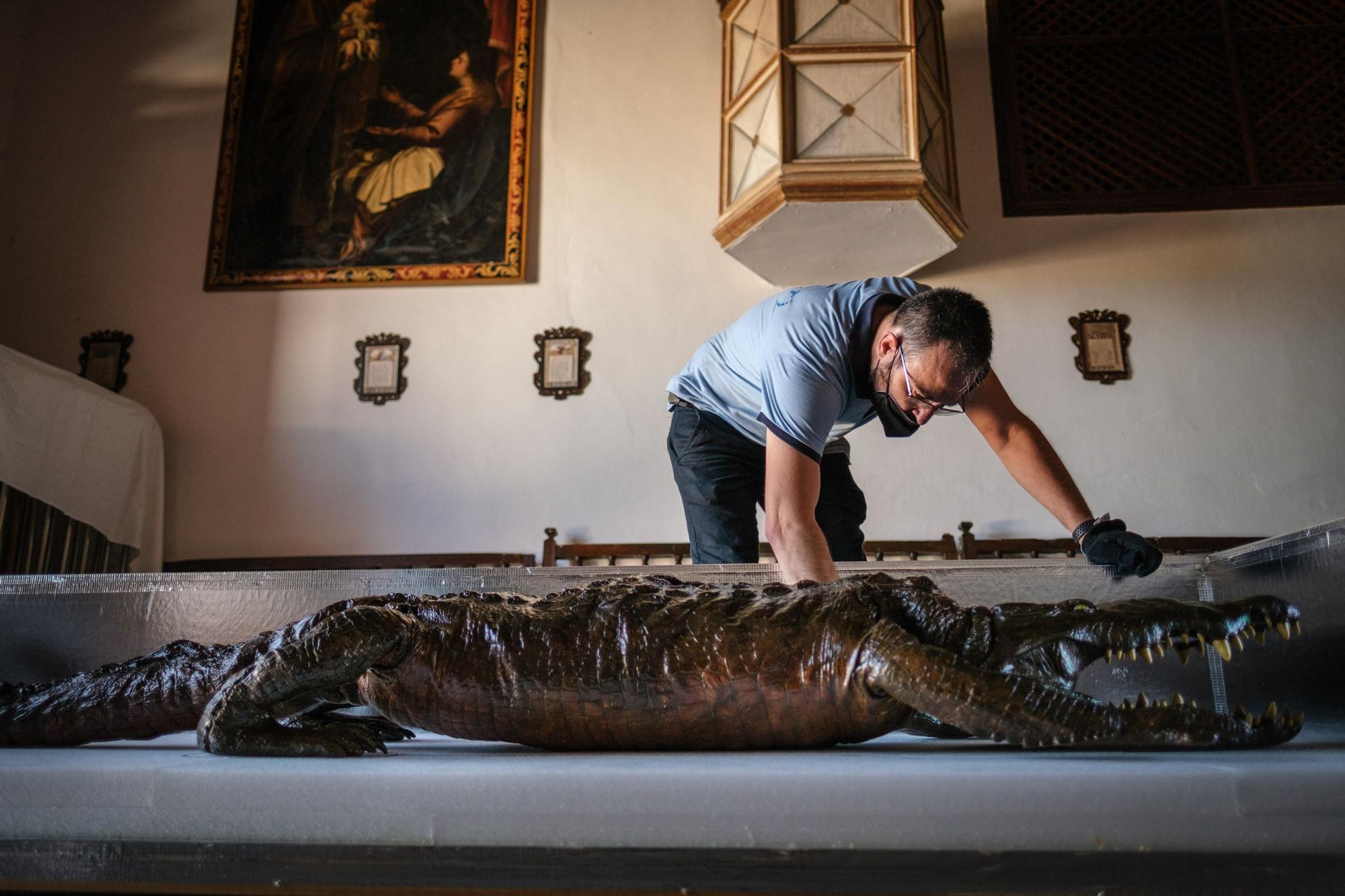 Traslado de la Virgen y el caimán de Las Angustias