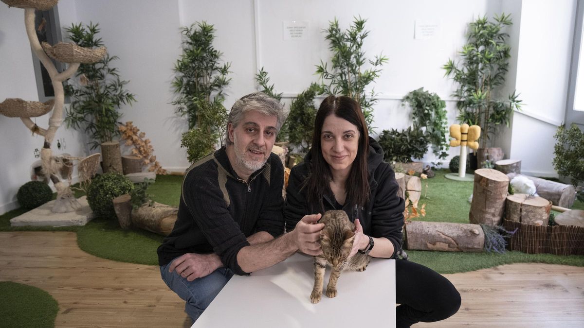 Francesc Flores i Sandra Seuba al Ninus CatCafè, al carrer Nou de Manresa