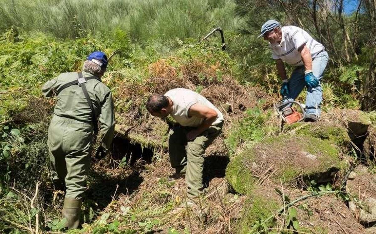 Descubren en Estacas un conjunto de treinta &quot;chozos&quot; ocultos por la maleza