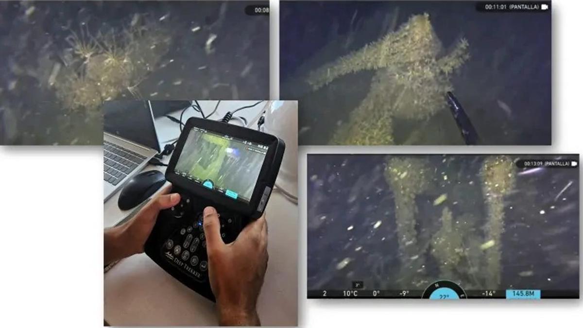 Imágenes del primer pecio inspeccionado con un ROV. | CEDIDAS