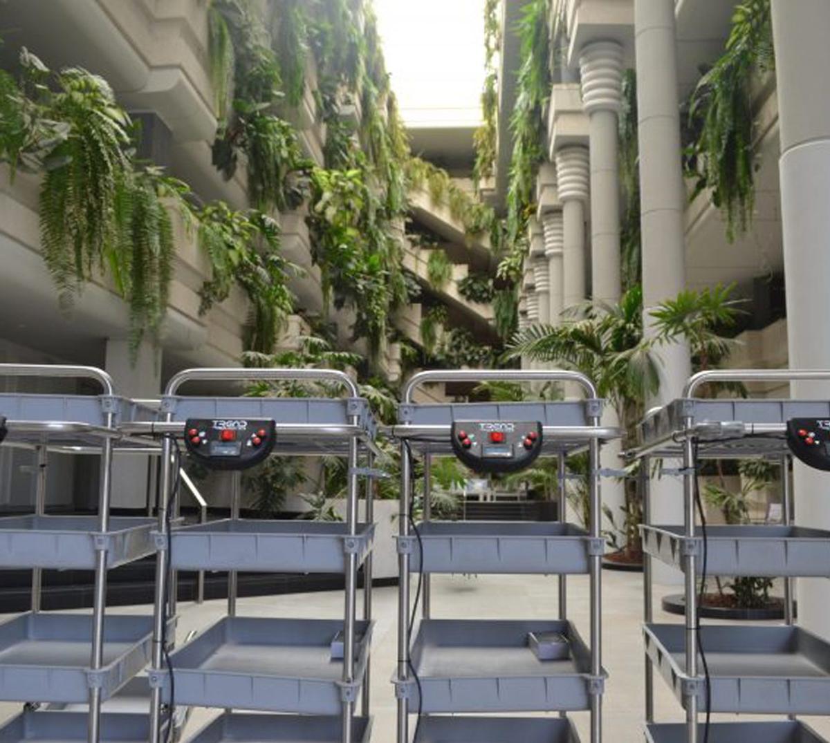 Miguel Villarroya |  | ED/LOT