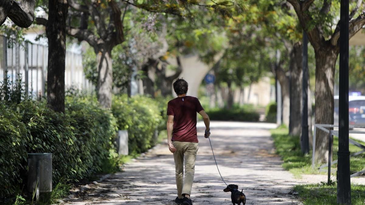 Los municipios valencianos de menos de 5.000 habitantes vivirán la desescalada sin horarios.