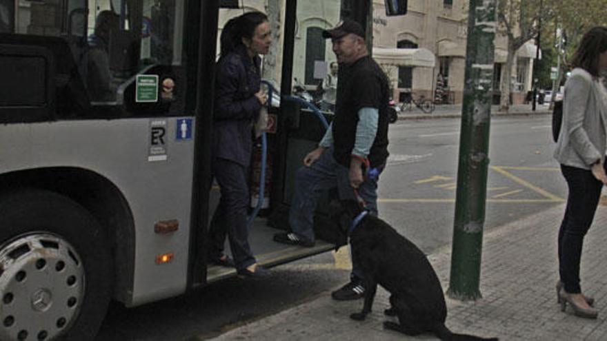 Otras dos líneas de la EMT se abrirán al transporte de perros