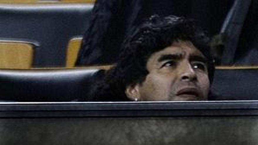 Maradona, seleccionador nacional de Argentina ,en el palco del Nou Camp durante el partido que disputaron ayer el F.C.Barcelona y el Mallorca.