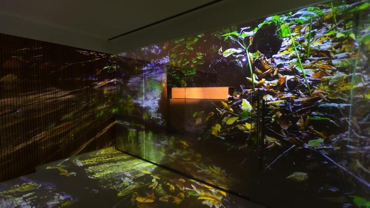 Reproducció d'imatges en 3D al tanatori d'Àltima