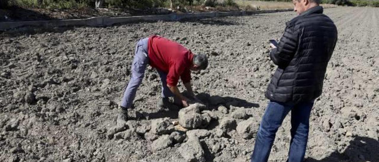 Angel Velasco, de pie, ayer en el terreno agrícola de Xàtiva en el que se ha hallado la tinaja.
