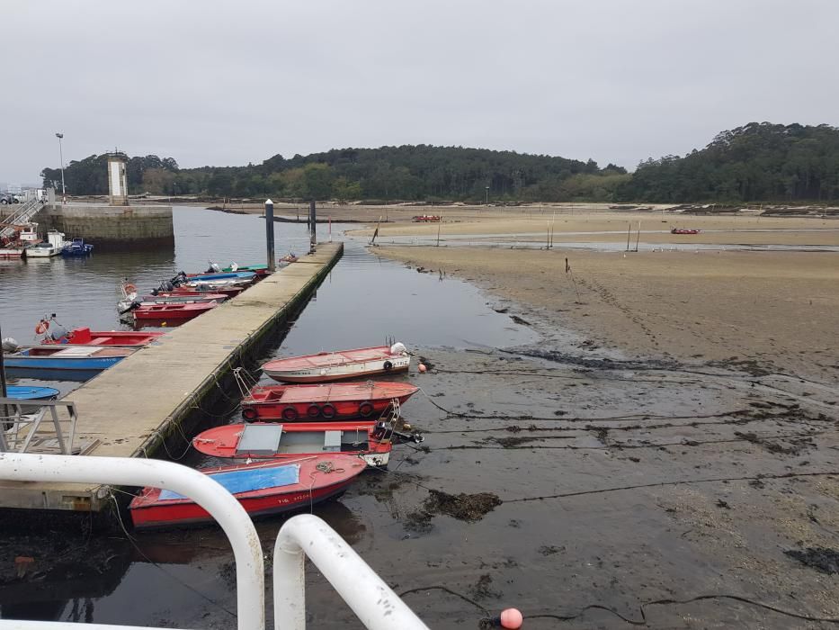 "Mareas vivas" en Galicia.