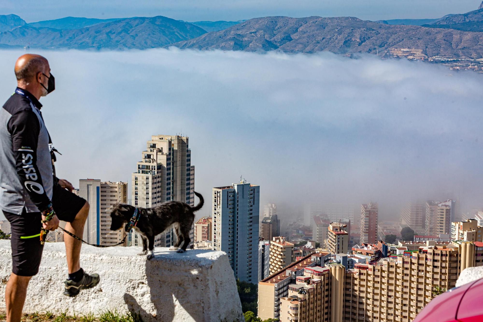 La niebla devora los rascacielos de Benidorm