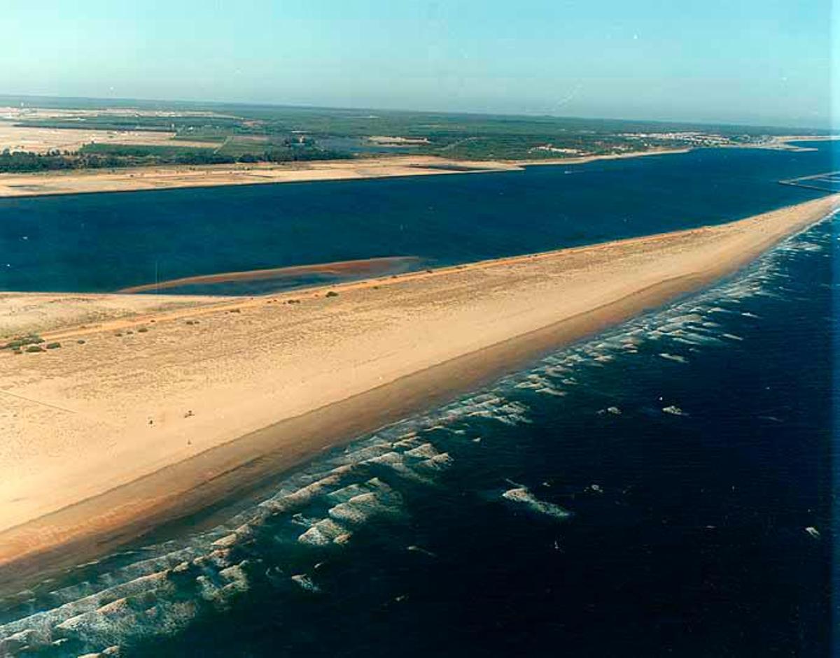 Huelva cuenta con cuatro playas caninas