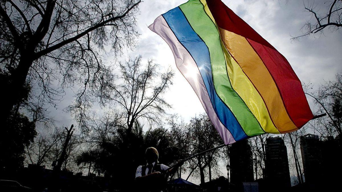 Una mujer enarbola una bandera LGTBI.