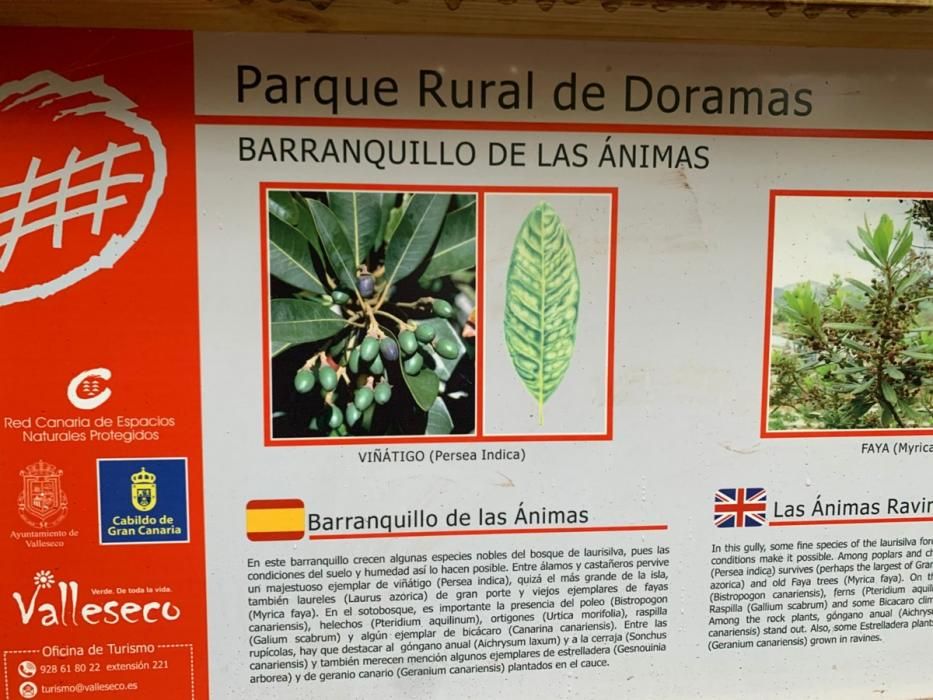 Ruta por el Parque Rural de Doramas