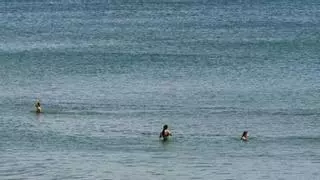 Estas son las cuatro playas con bandera negra en Canarias
