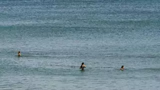 ¿Cuáles son las playas de Canarias que pueden desaparecer?