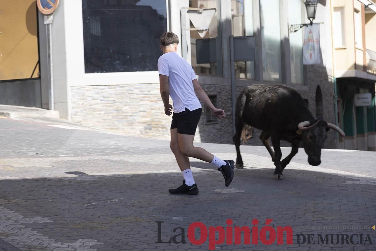 Cuarto encierro en las Fiestas de Moratalla