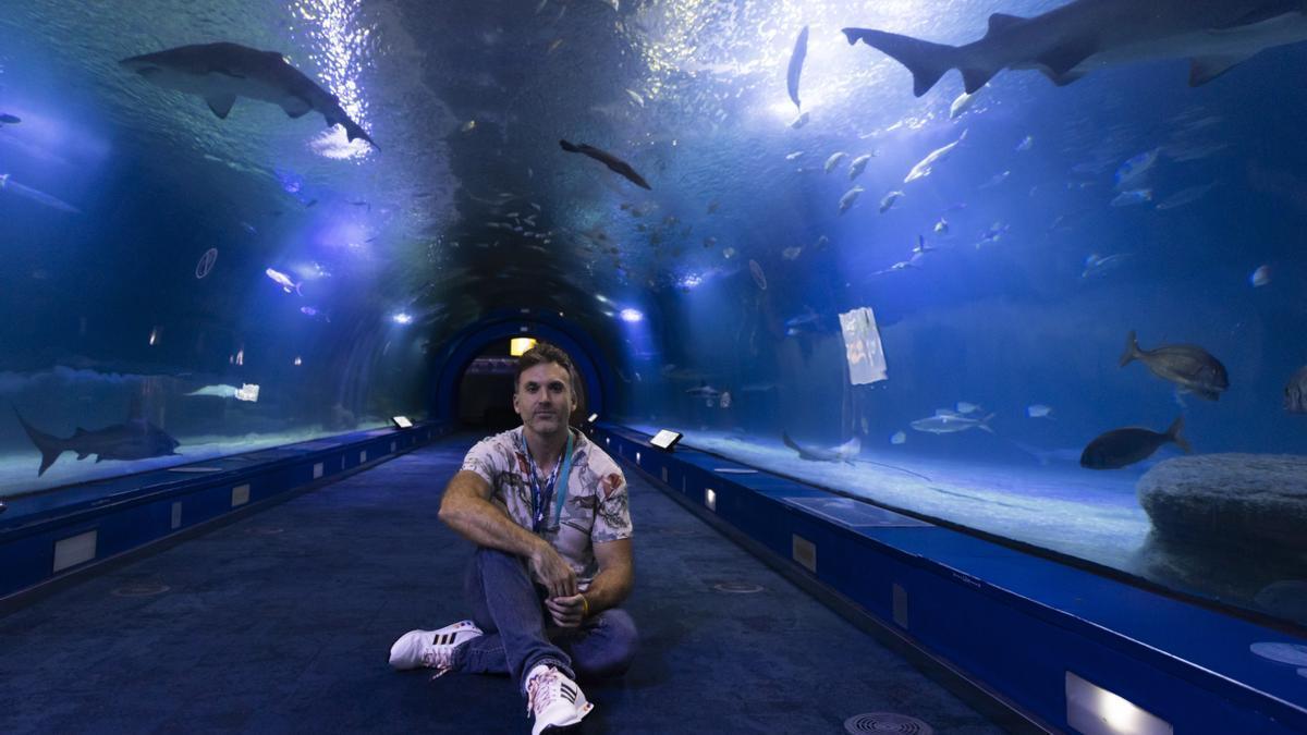 Pablo García-Salinas, en un túnel del Oceanogràfic &#039;rodeado&#039; de tiburones.