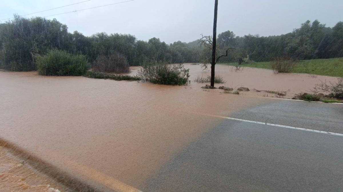 FOTOS | La intensa lluvia provoca el cierre de un tramo de la carretera de Cala Murada a Porto Cristo FOTOS | La intensa lluvia provoca el cierre de un tramo de la carretera de Cala Murada a Porto Cristo