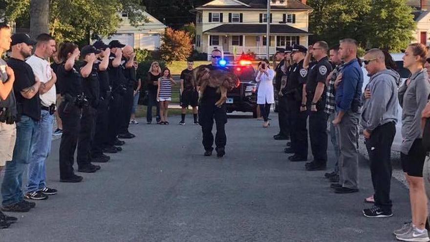 Un perro policía con cáncer recibe un emotivo homenaje antes de ser sacrificado