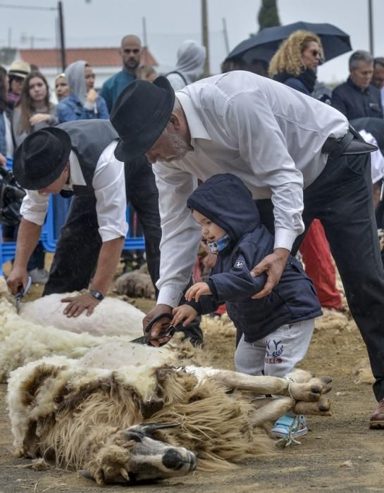 CAIDERO DE GÁLDAR A 30/05/2017. Día de Canarias en Caidero de Gáldar, Fiesta de la lana. FOTO: J.PÉREZ CURBELO