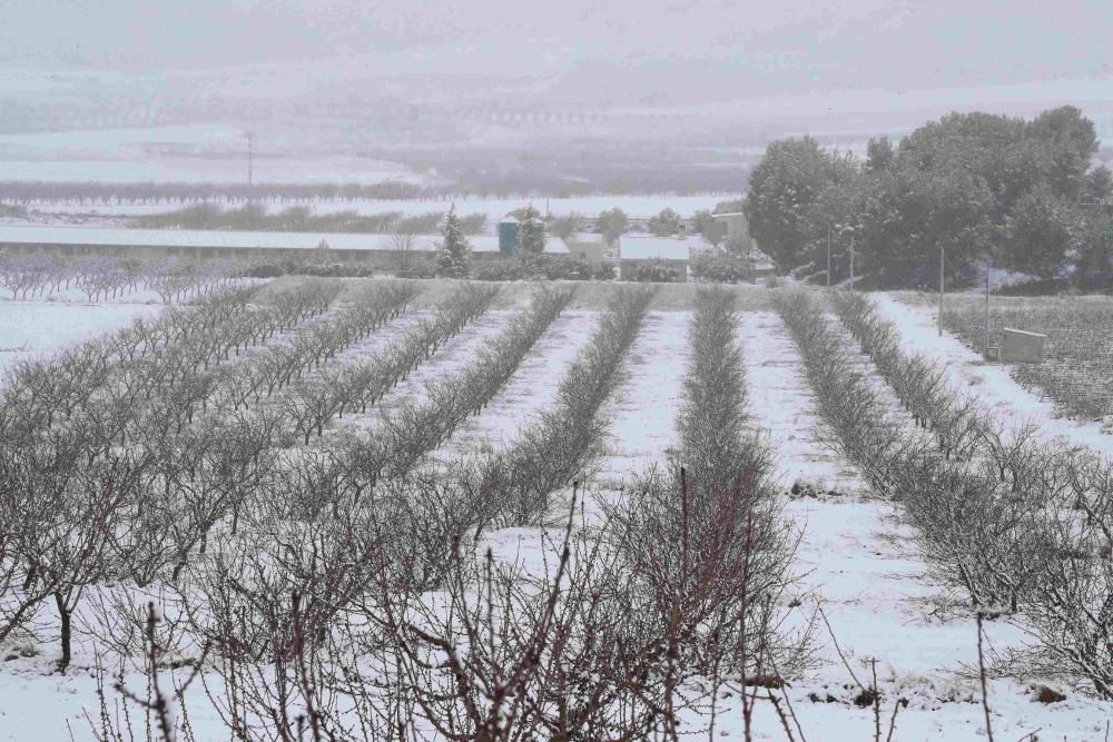 Nieve en Coy, Lorca