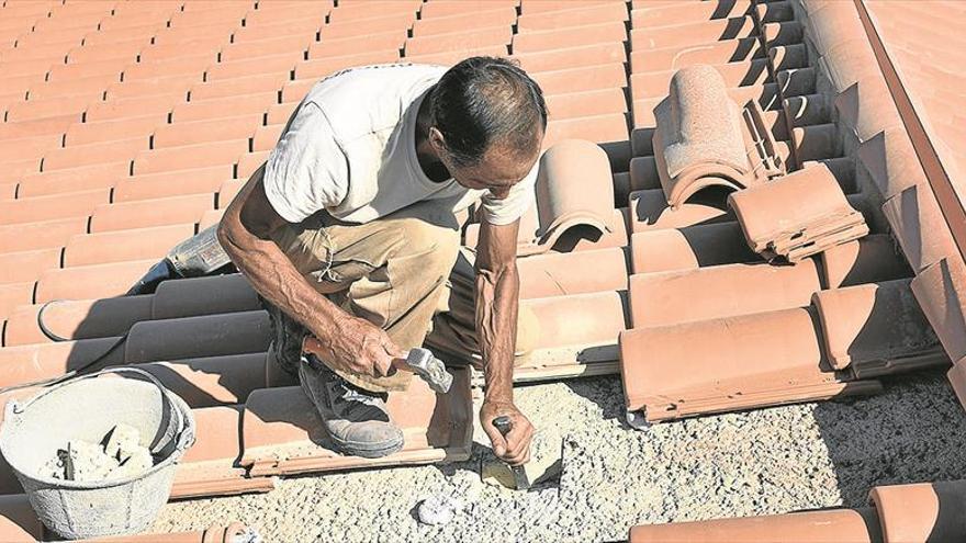 Los constructores aprenden cómo hacer obras protegiendo al primilla