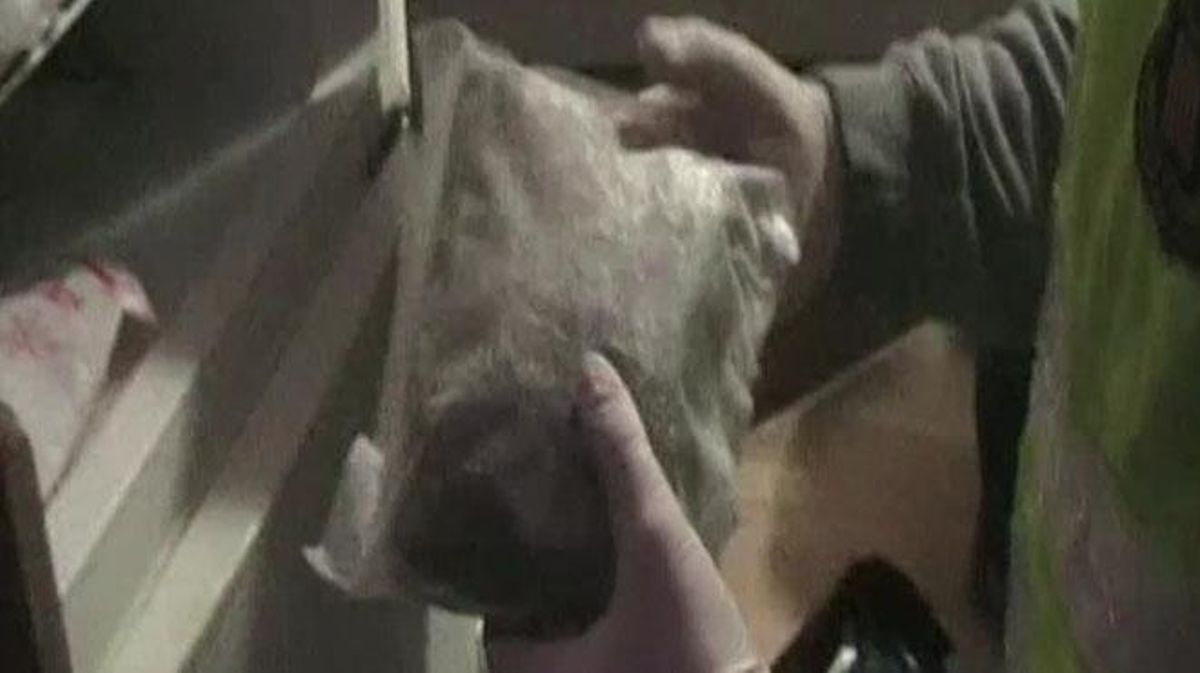 Els Mossos d’Esquadra confisquen un punt de venda de droga a Ciutat Vella.