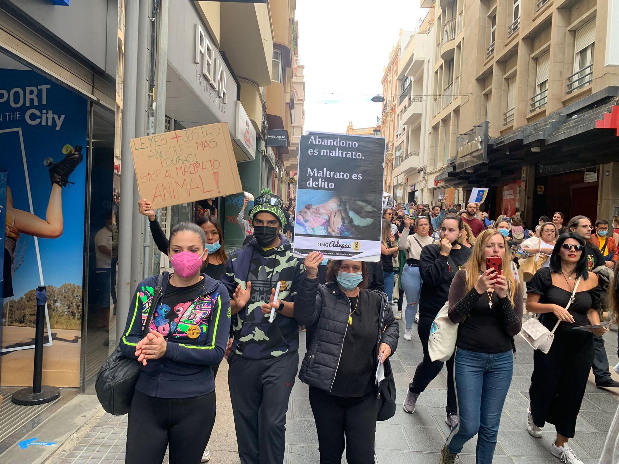 Manifestación contra el acuerdo judicial que evitará que los integrantes de la red de peleas de perros entren en prisión.