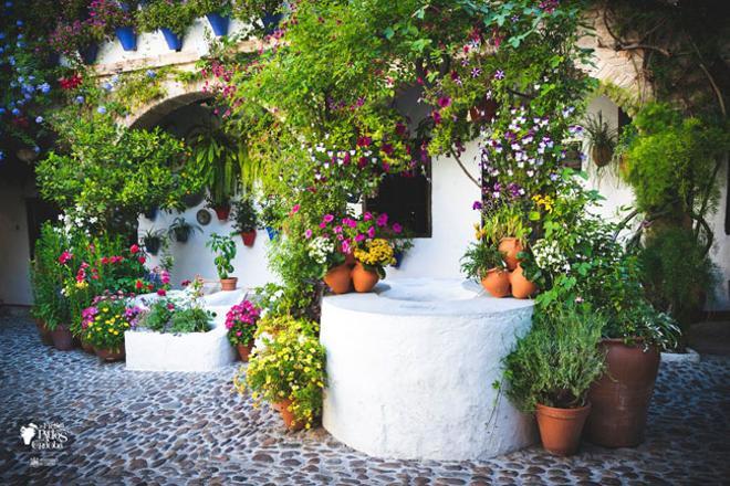 Planes desconfiamiento Patios de Córdoba