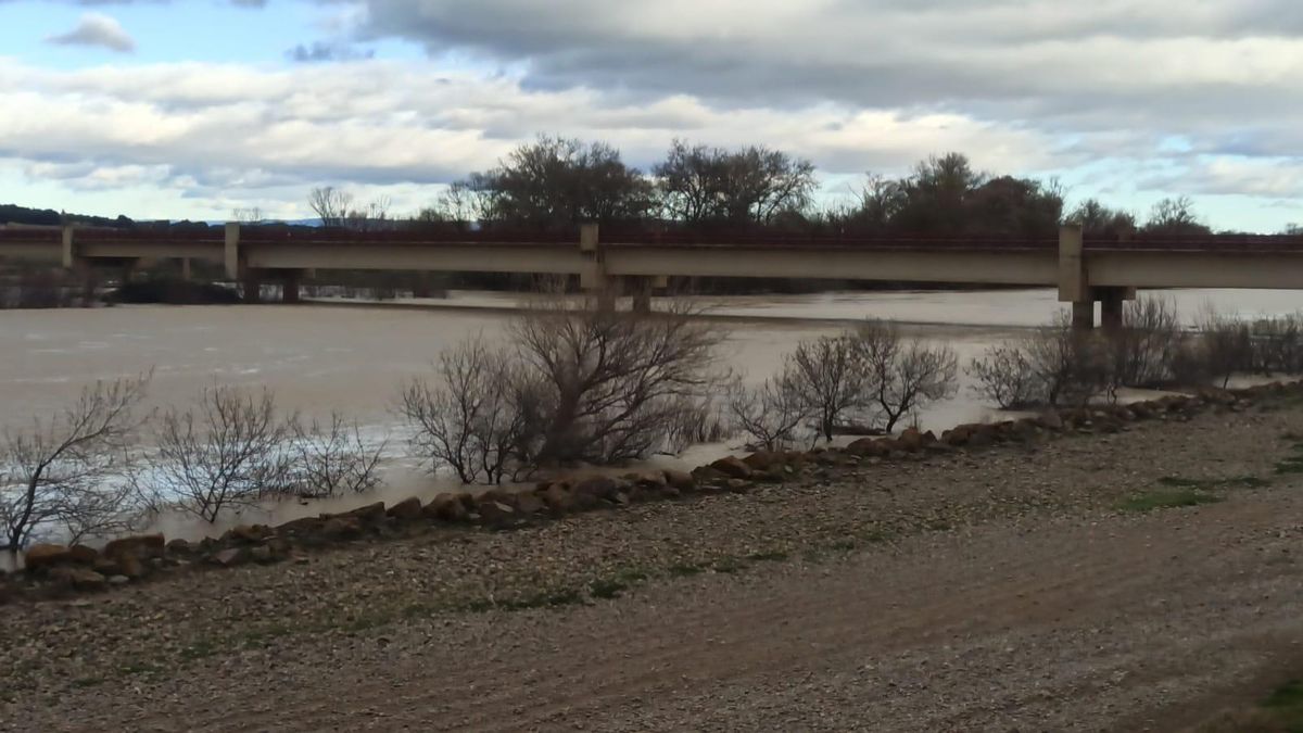 Así baja el río Ebro a la altura de la localidad zaragozana de Novillas