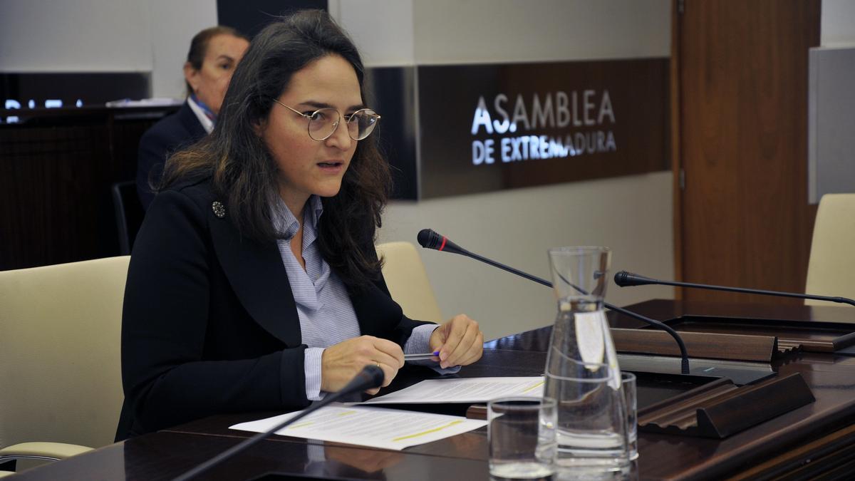 Adela Rueda, directora de Patrimonio, ayer en la comisión de Cultura.