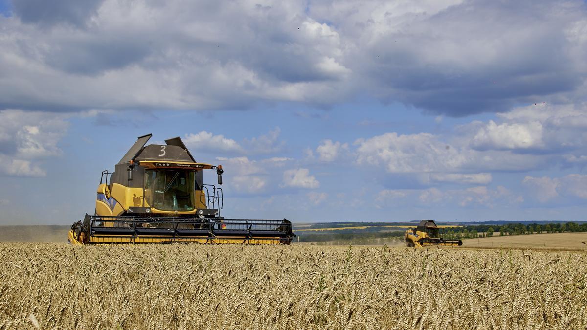 Rússia suspèn l&#039;acord del cereal d&#039;Ucarïna